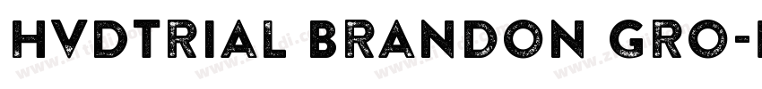 HvDTrial Brandon Gro字体转换